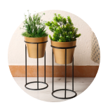 Buy Planters Online 